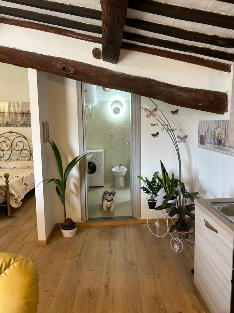 Bagnoregio Apartment You&Me Luaran gambar